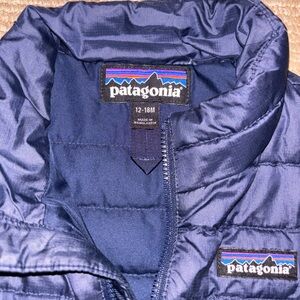 Patagonia Deep Blue Quilted Jacket